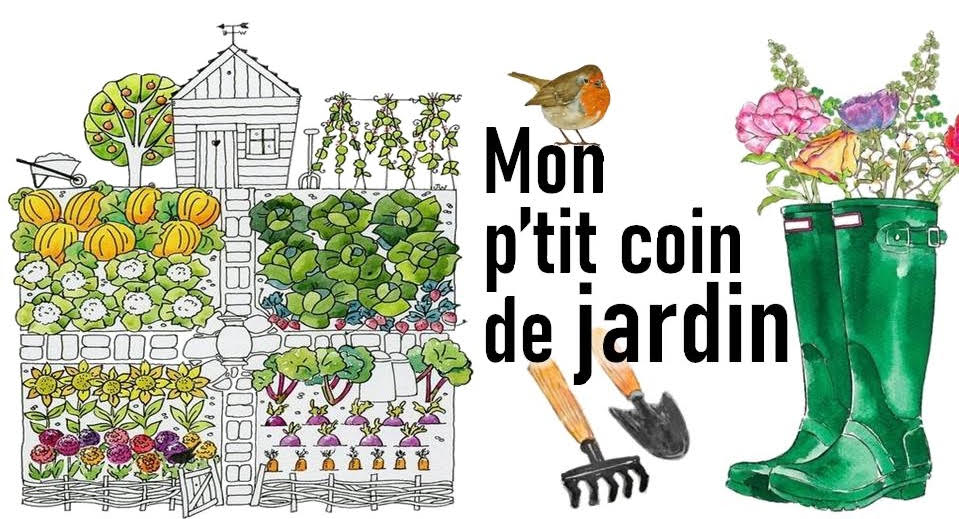 Image mise en avant, Mon petit coin de jardin