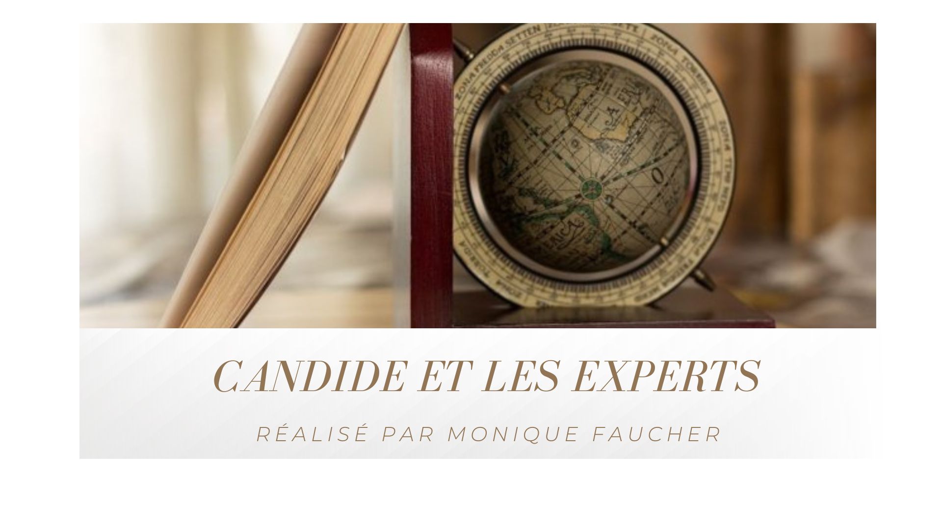 Image mise en avant, Candide et les experts