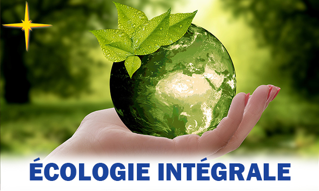 Image mise en avant, Chronique d’écologie intégrale