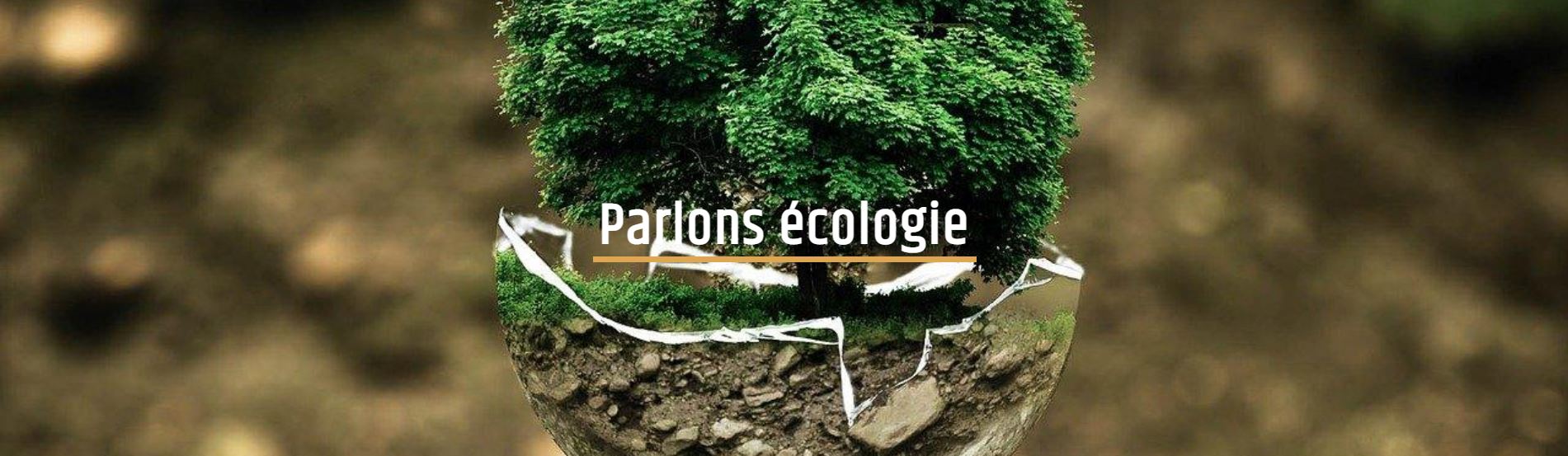 Image mise en avant, Parlons écologie