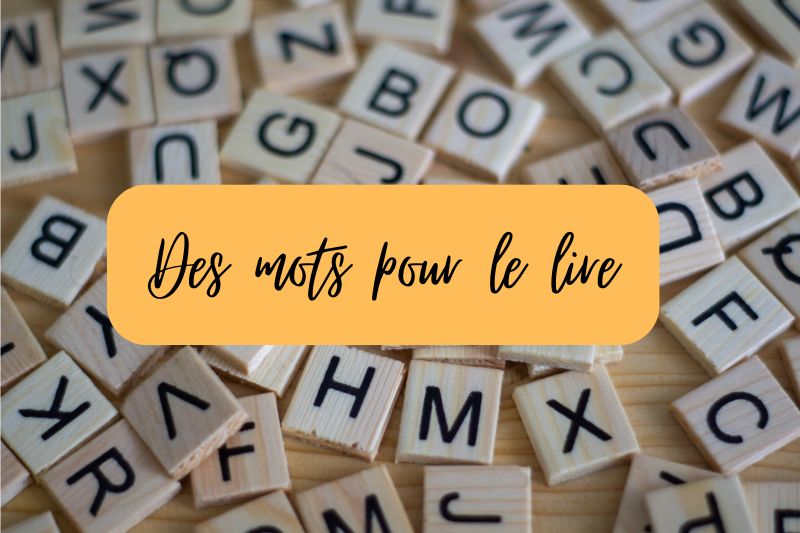 Image mise en avant, Des mots pour le lire